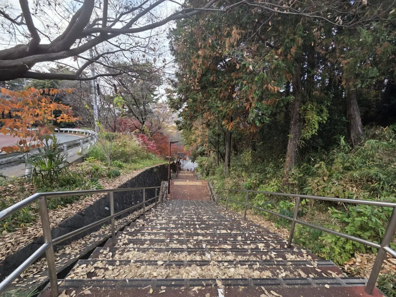 映画にたびたび登場する、坂を横切るように設置された階段。