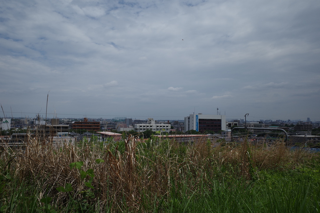 inagi view