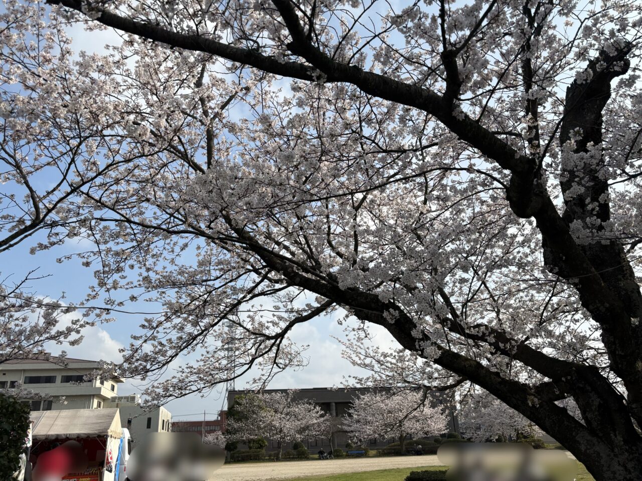 有原中央公園