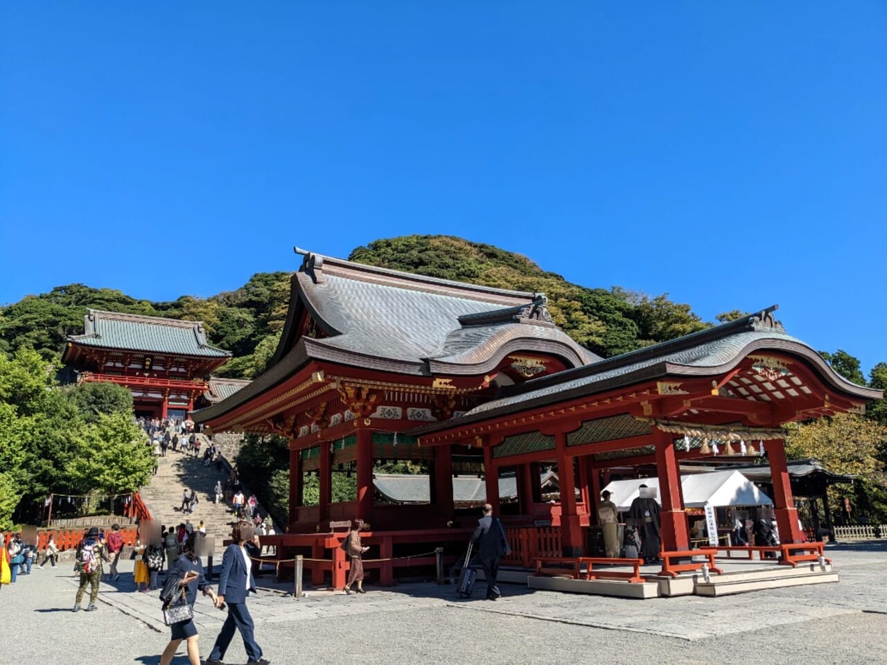 鎌倉市】今年も鶴岡八幡宮は大晦日から1月2日まで24時間参拝可能です。お守り授与所も開設されます。 | 号外NET 鎌倉市・逗子市・葉山町