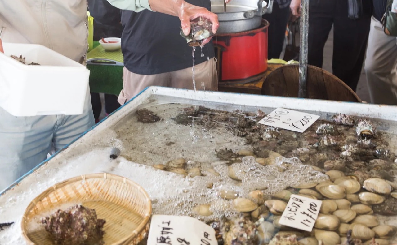 魚々祭り