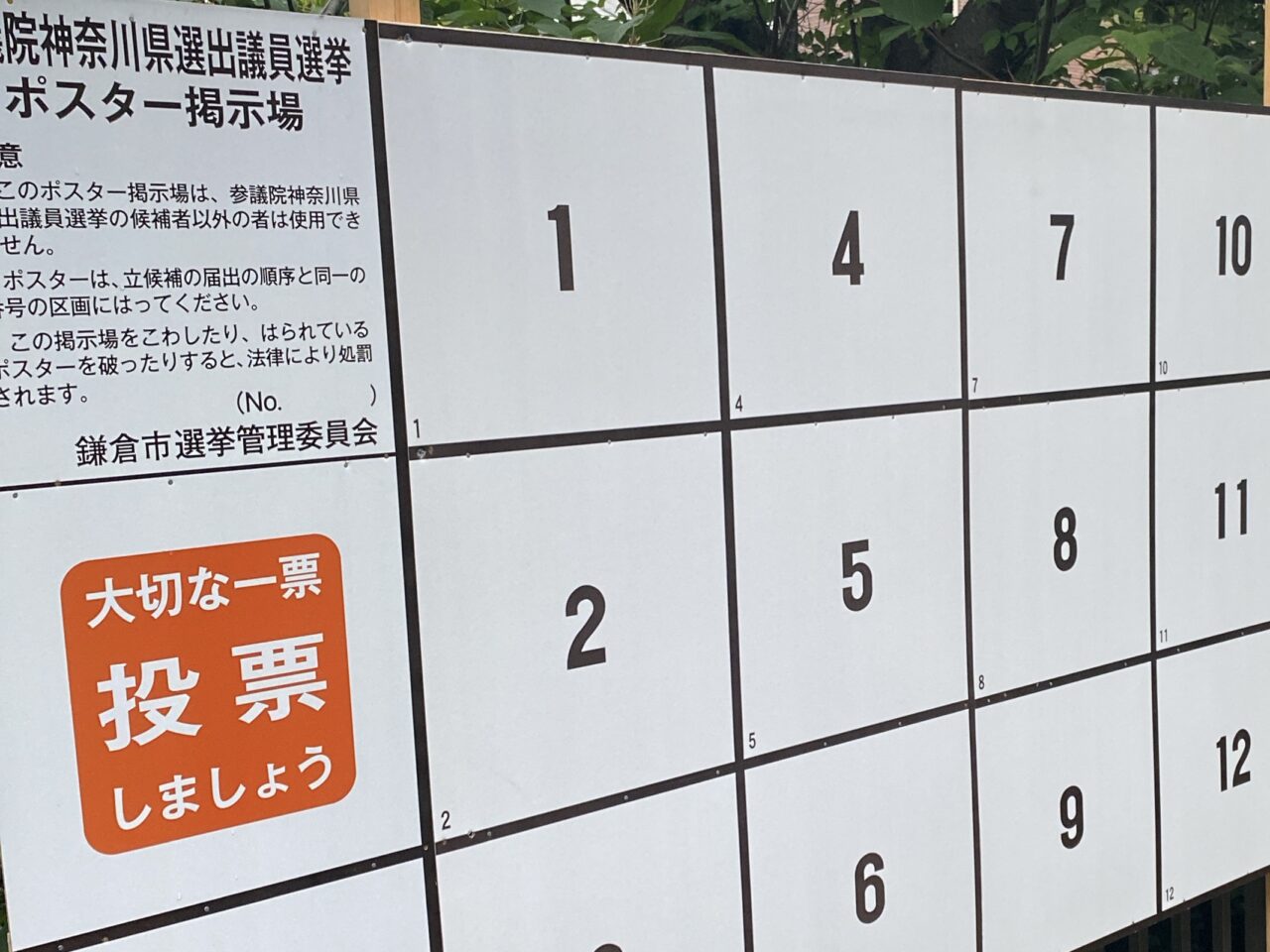 選挙