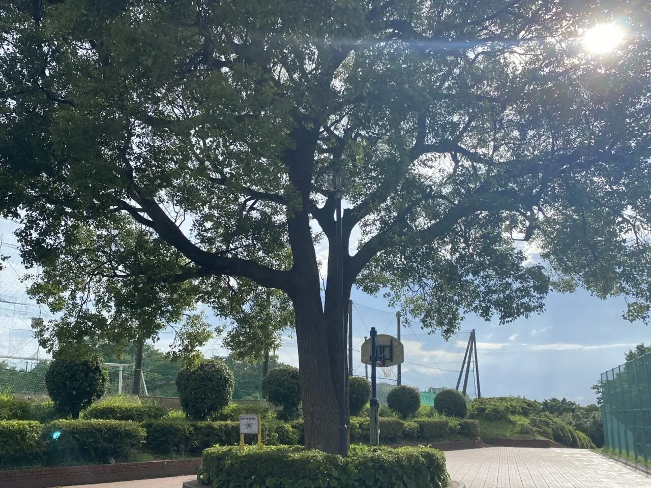 笛田公園イベント