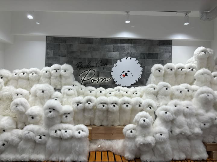 ビションカフェポム