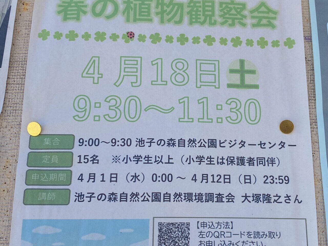 春の植物観察会