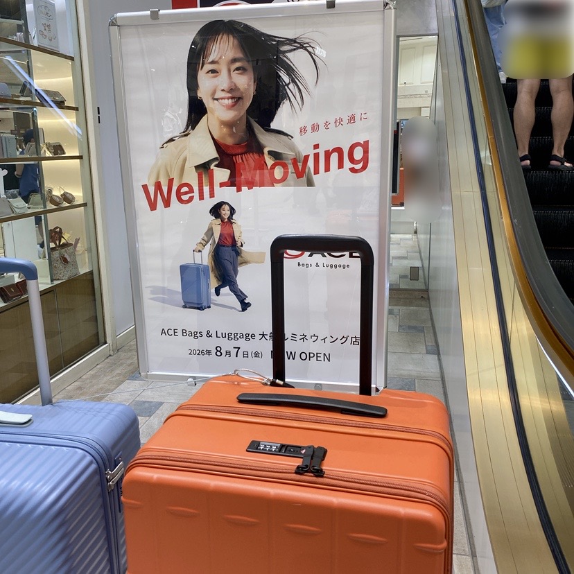 ACE Bags & Luggage