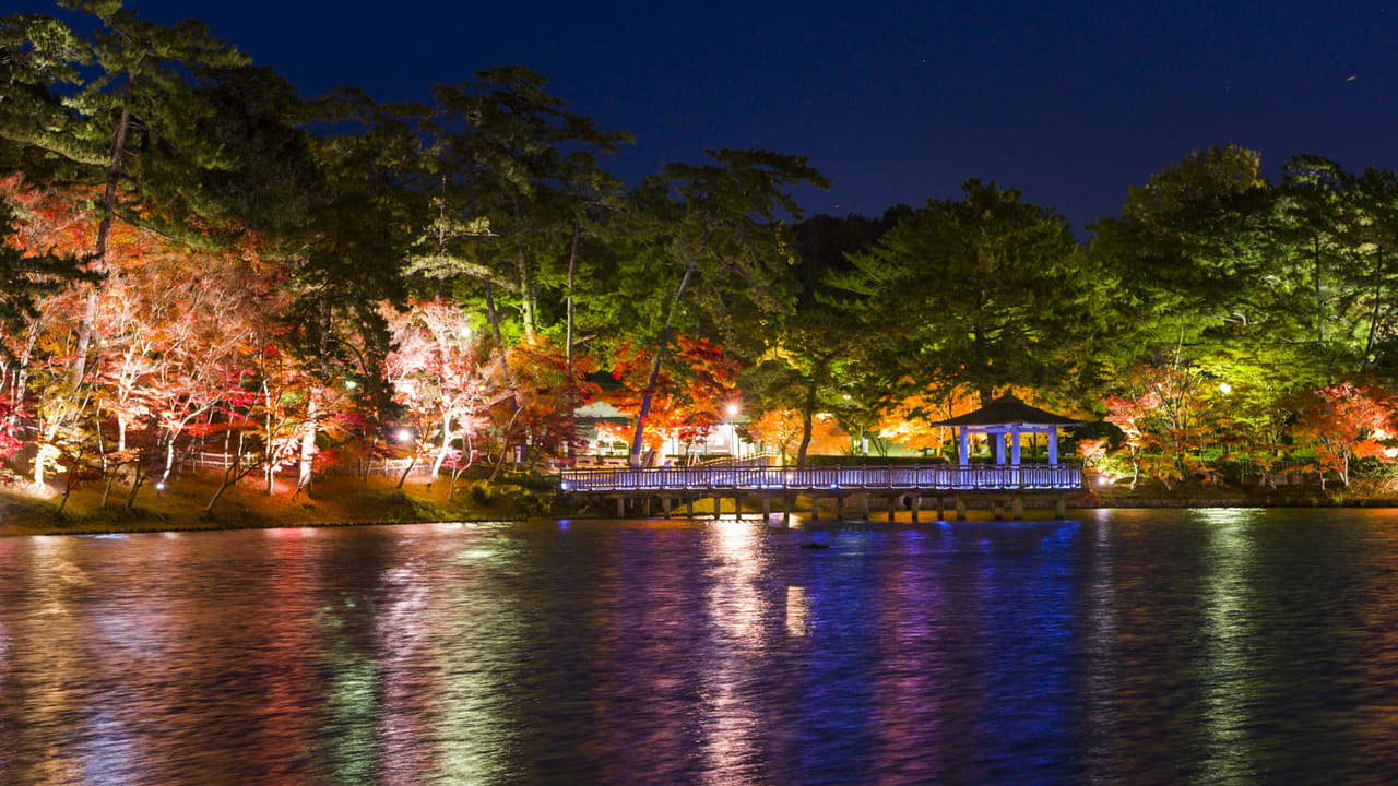 東公園　紅葉ライトアップ