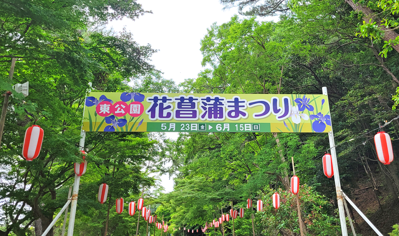 東公園花菖蒲まつり