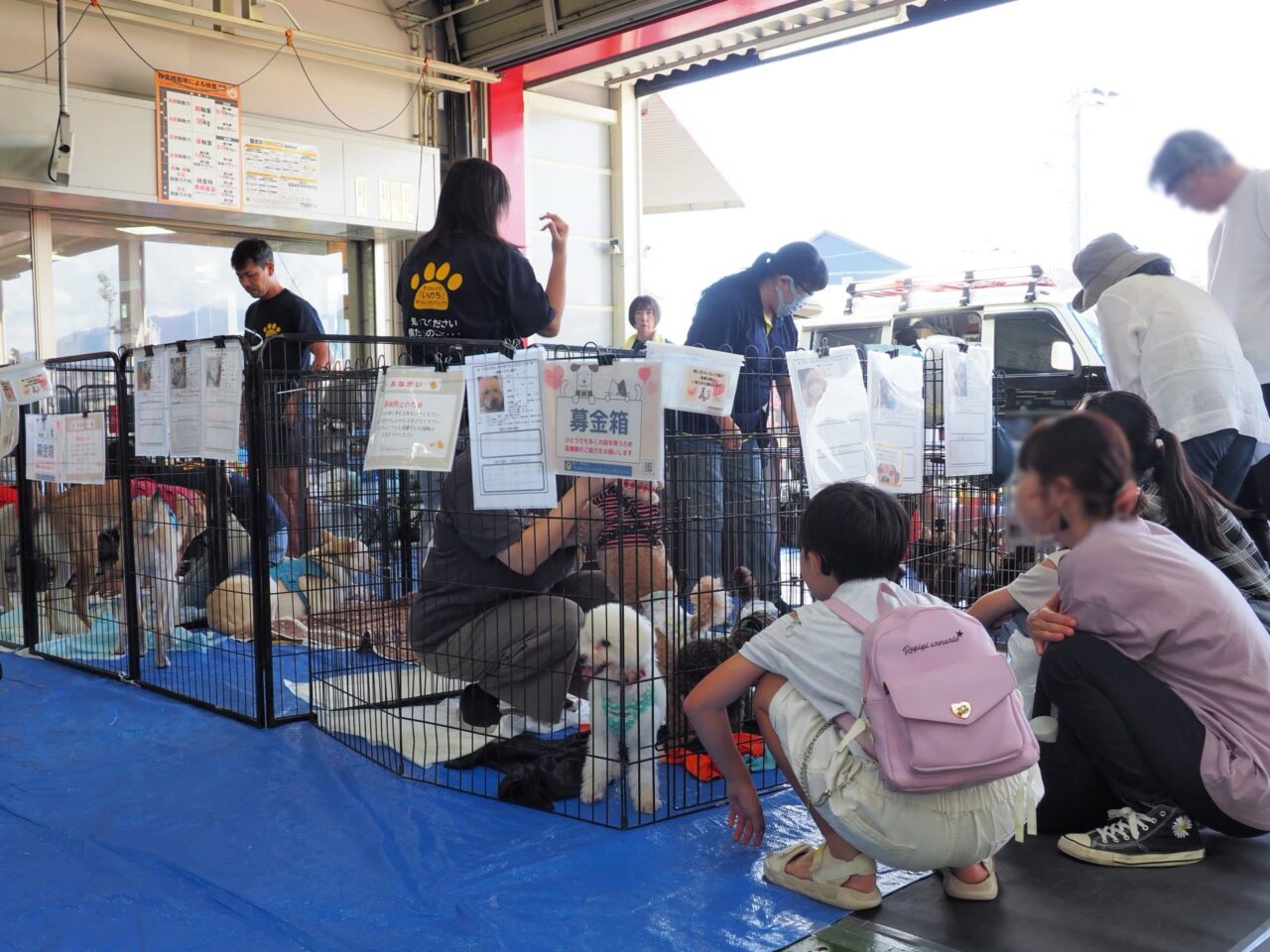 カロフェスin沼津店