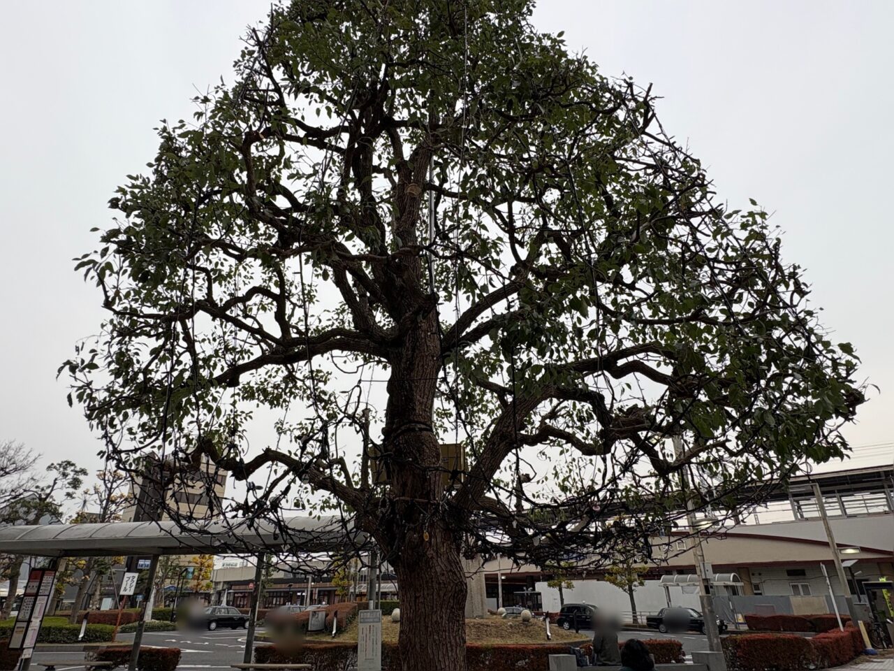 谷塚駅イルミネーション点灯式