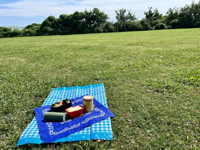 草加ピクニック