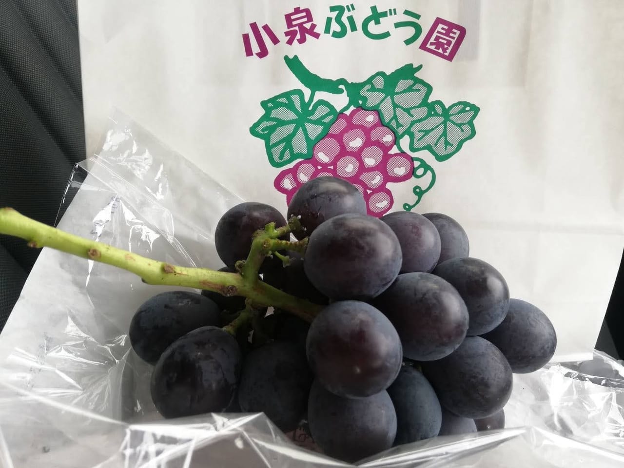 小泉ブドウ園　新座