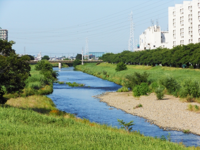 柳瀬川