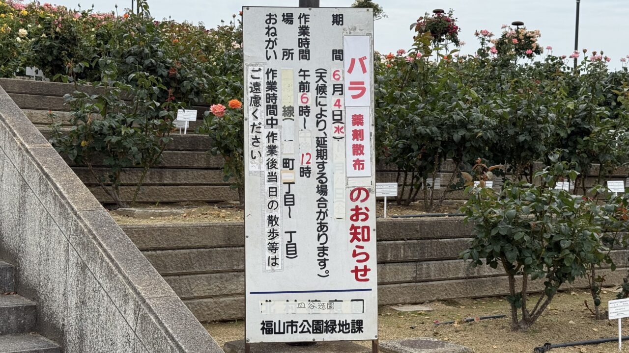 緑町公園