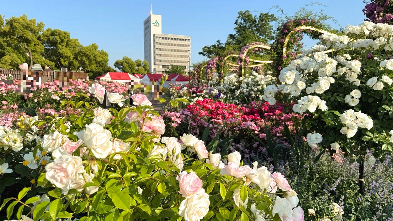 ばら公園