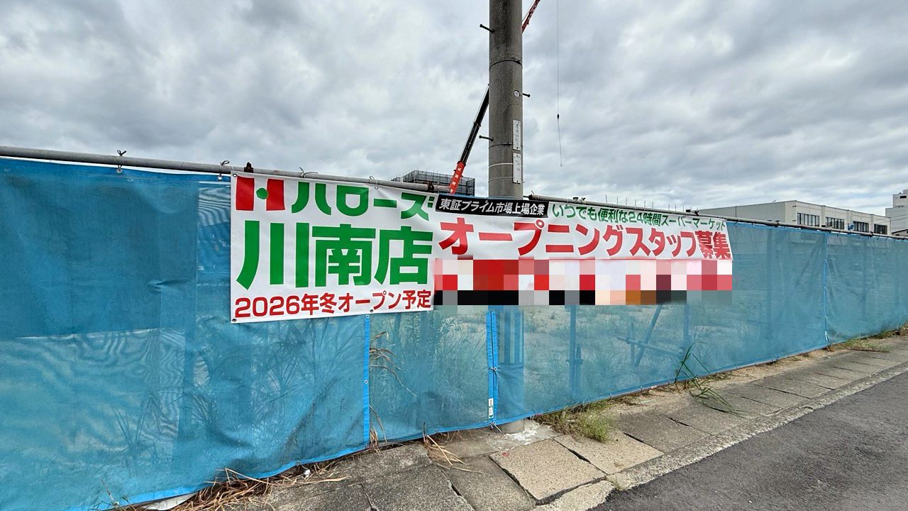 ハローズ 川南店