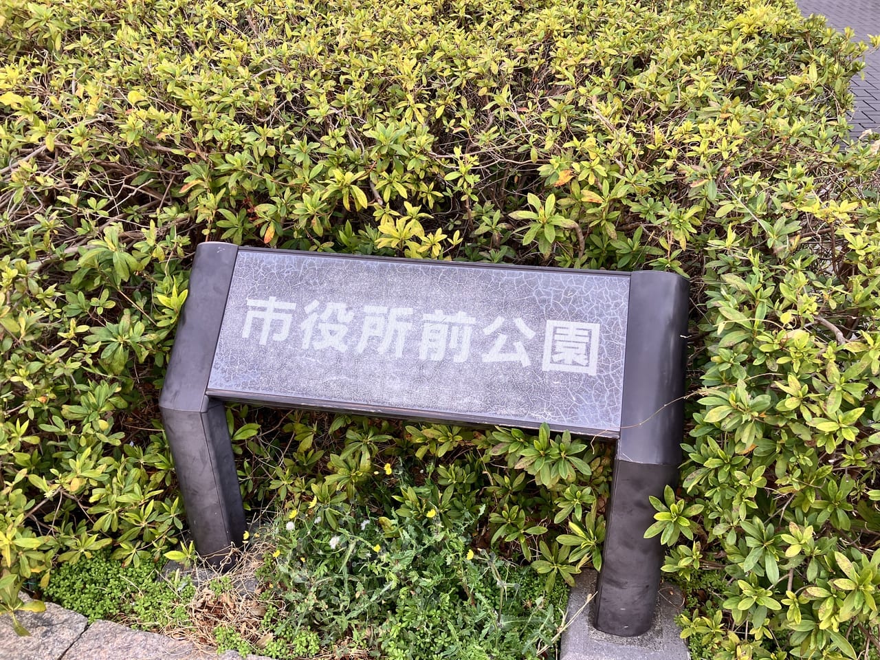 市役所前公園