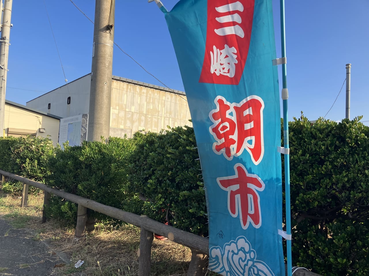 三崎朝市