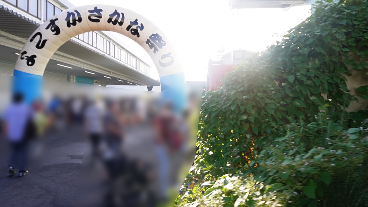 さかな祭り