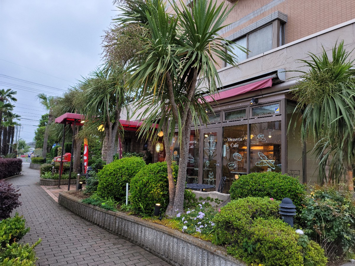 船橋市 おしゃれで綺麗なカフェでほっと一息 テイクアウトもやっている マッセリア カフェ さんでリラックスしませんか 号外net 船橋市