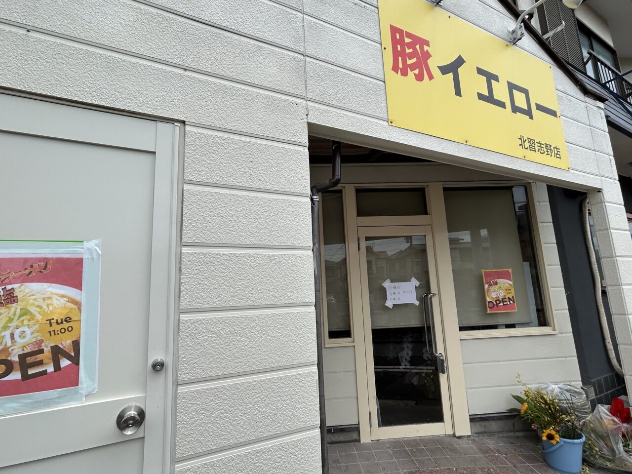 豚イエロー