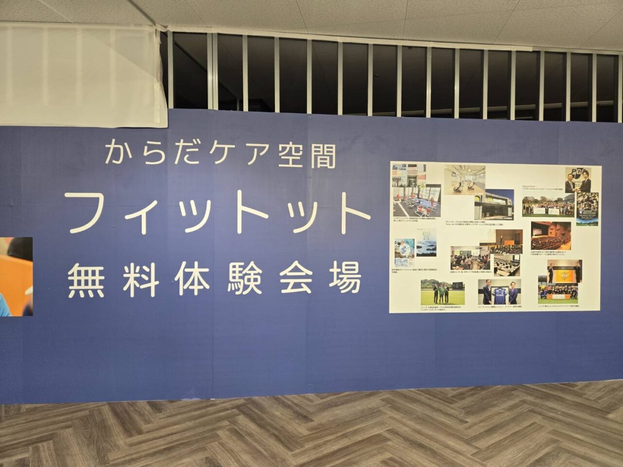 フィットット