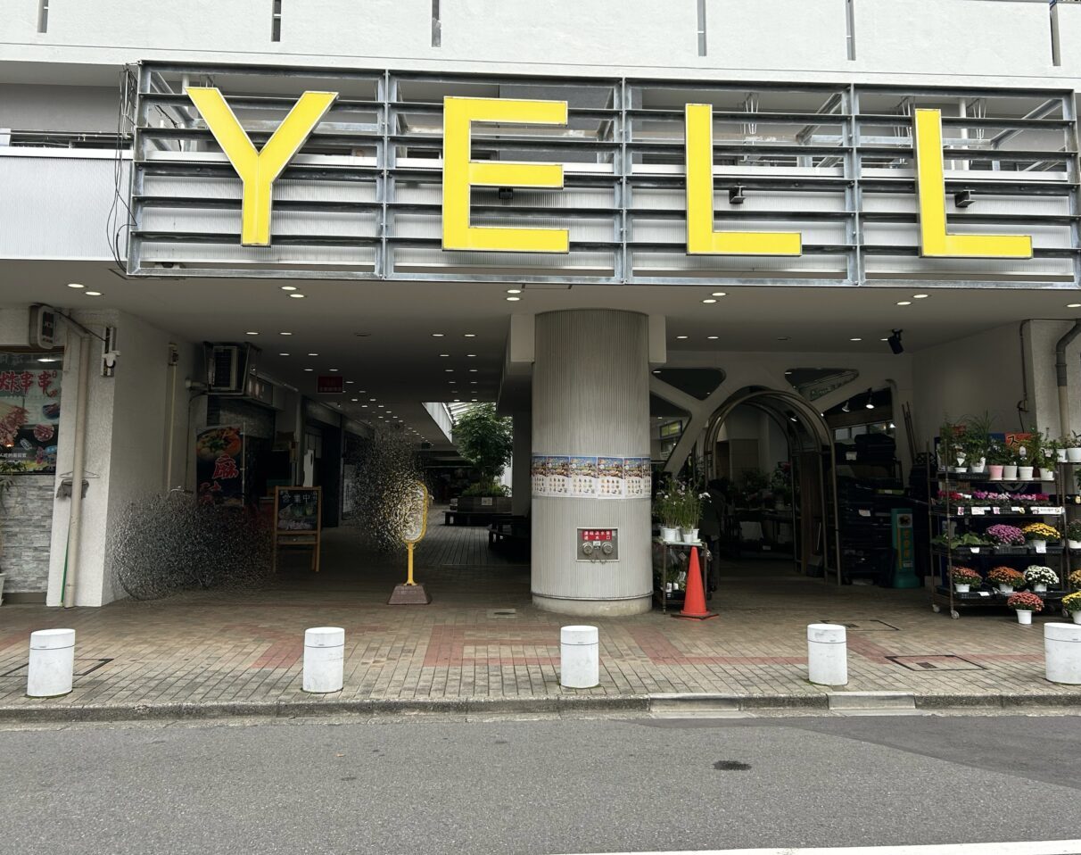 エールきたなら