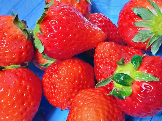 亀山市 いちご農園 Tsumugi舎 が9月10日 金 カフェ Tsumugi Cafe ツムギカフェ をopen 号外net 鈴鹿市 亀山市