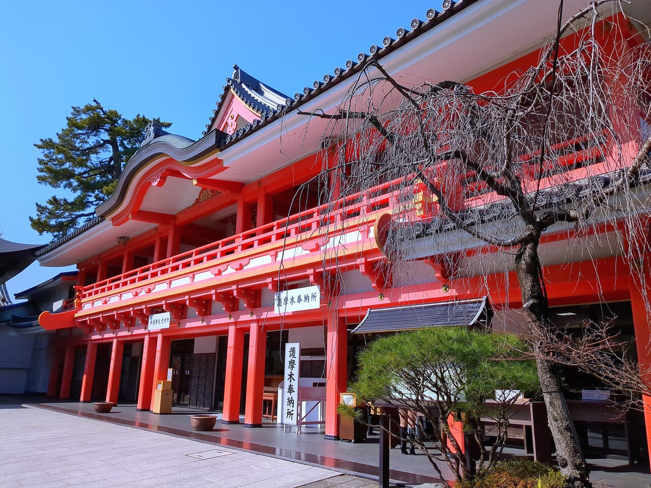 高幡不動尊標本木