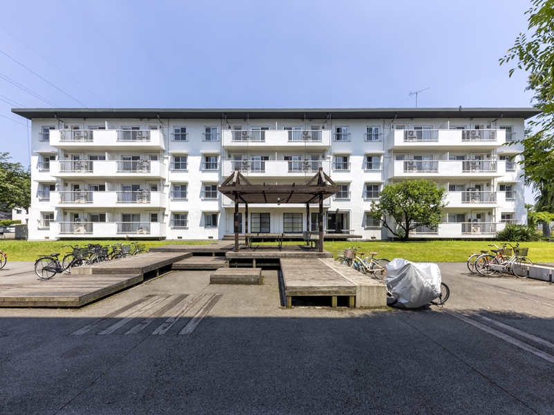 多摩トキワソウ団地　調査