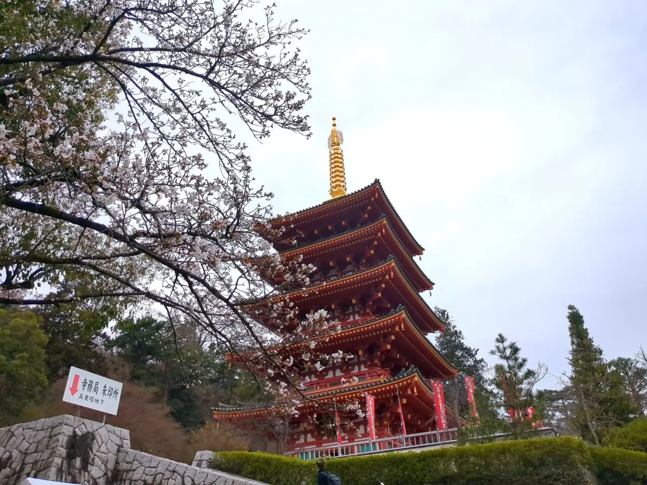 高幡不動尊　2026桜