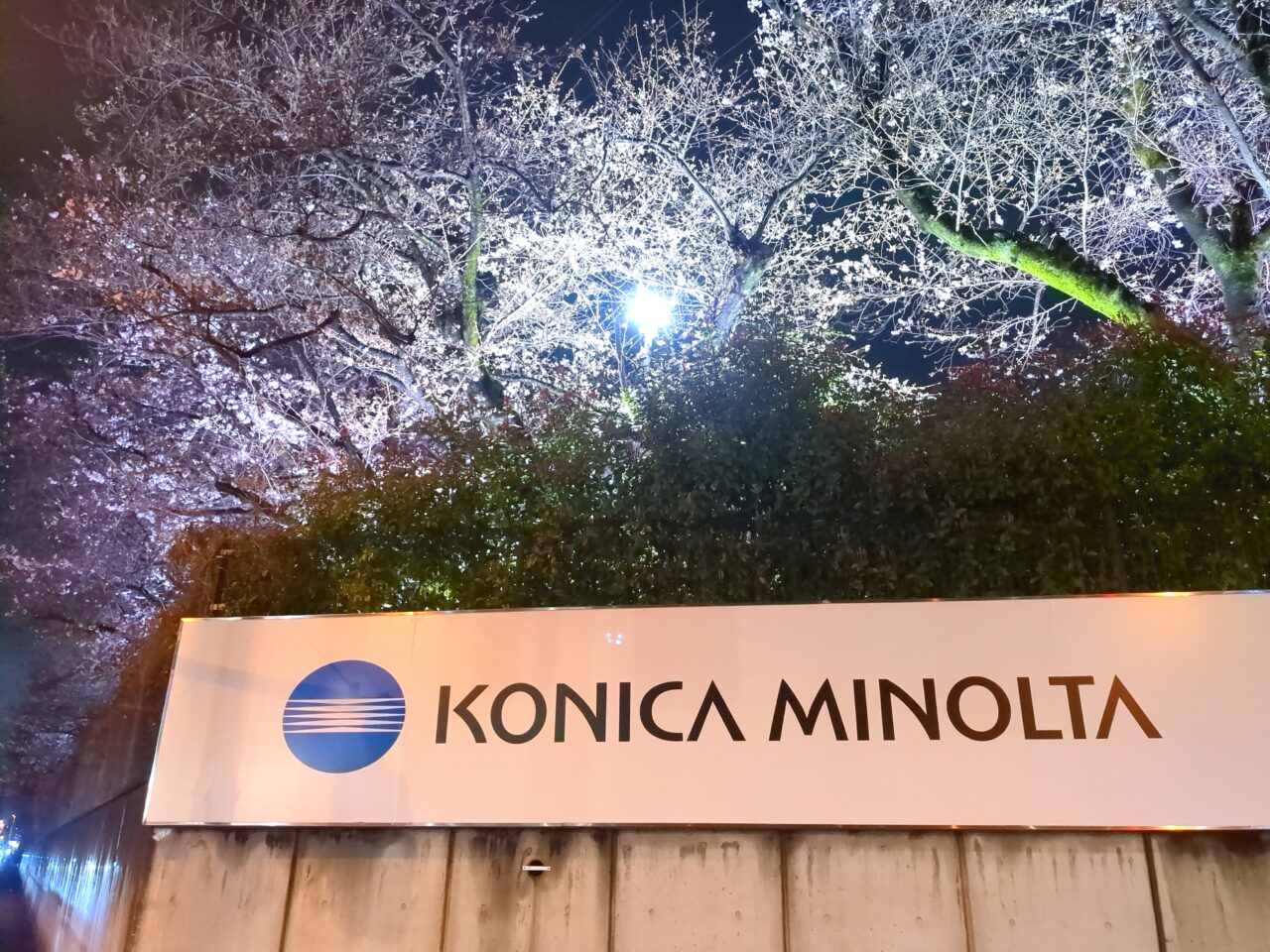 コニカミノルタ　ライトアップ　2026