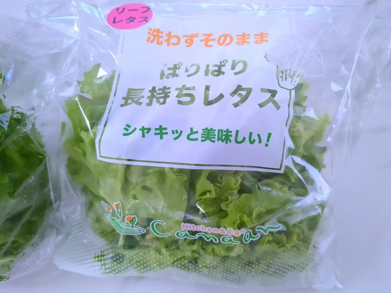 光の家 レタス