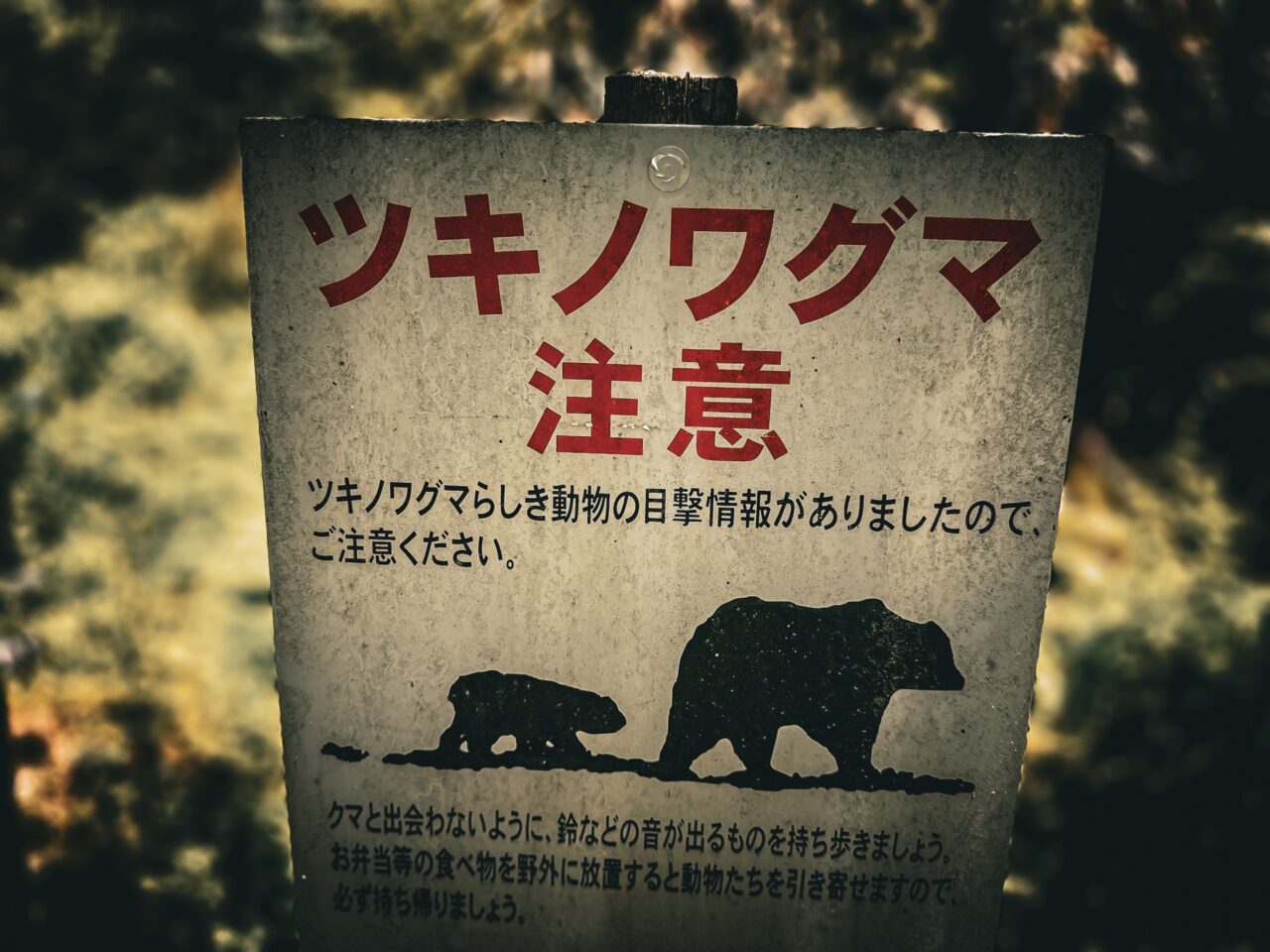 クマ出没注意