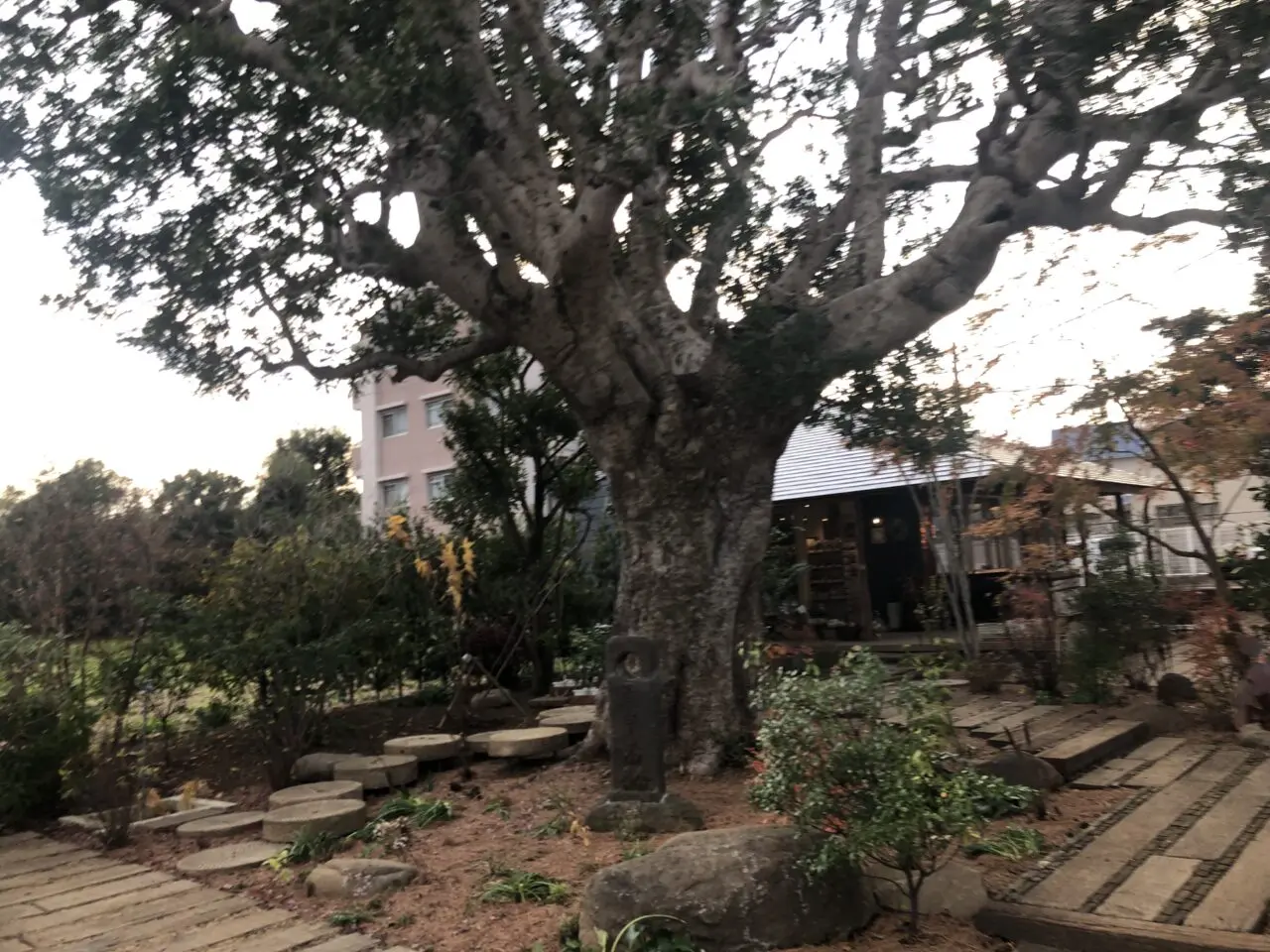 やまももマート