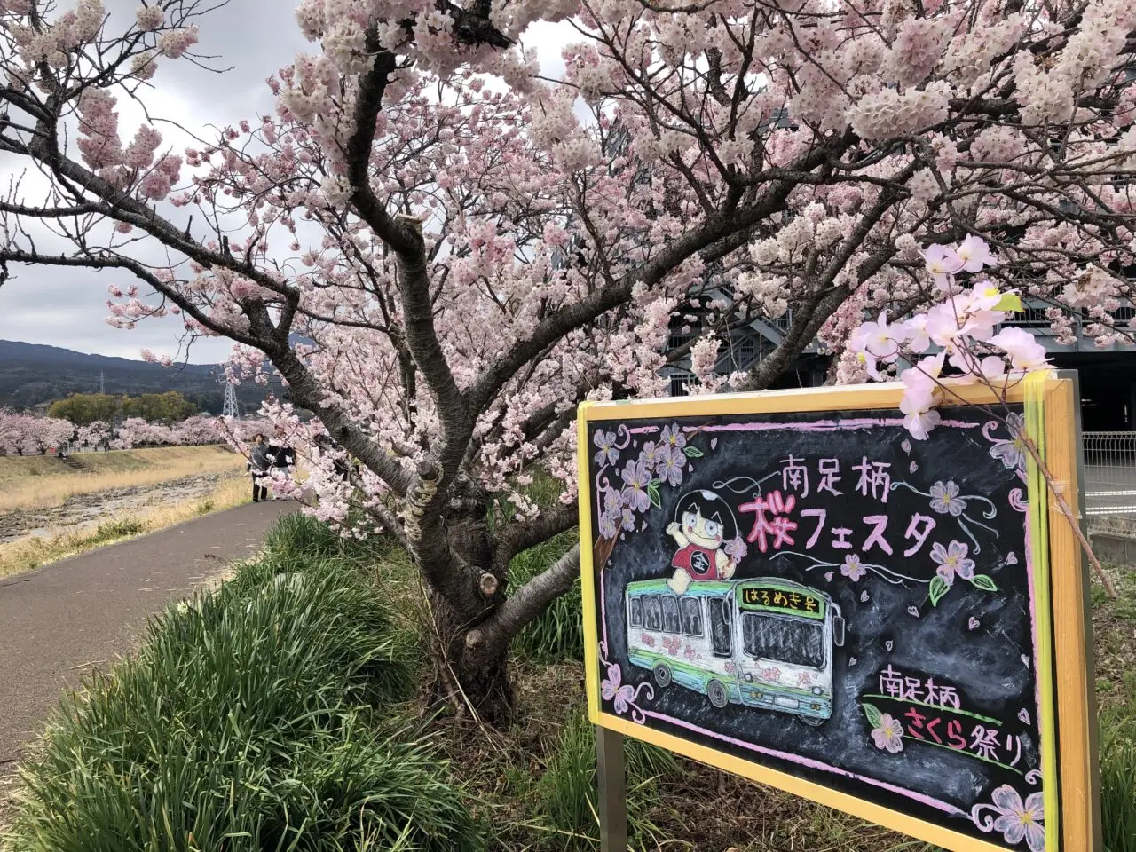 春木径・幸せ道