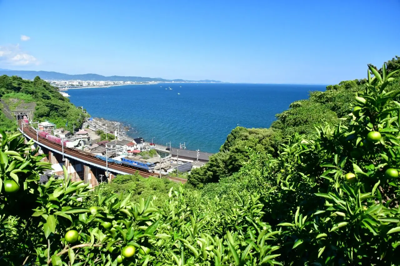 根府川
