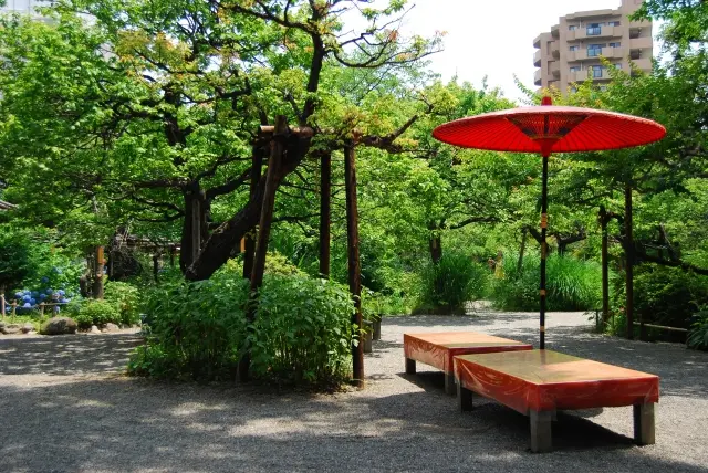 百花園の景色