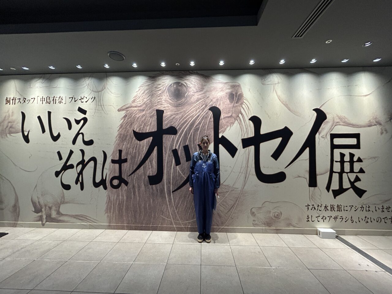 オットセイとSTAFF