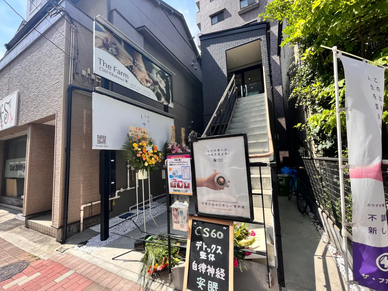 いさ春
