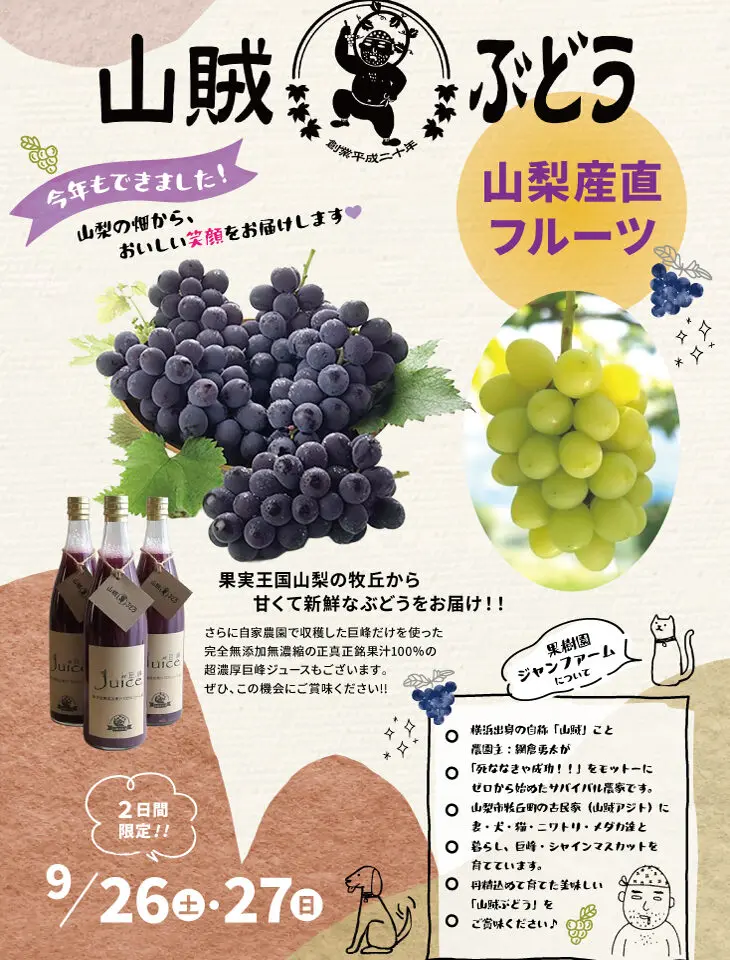 山賊ぶどう