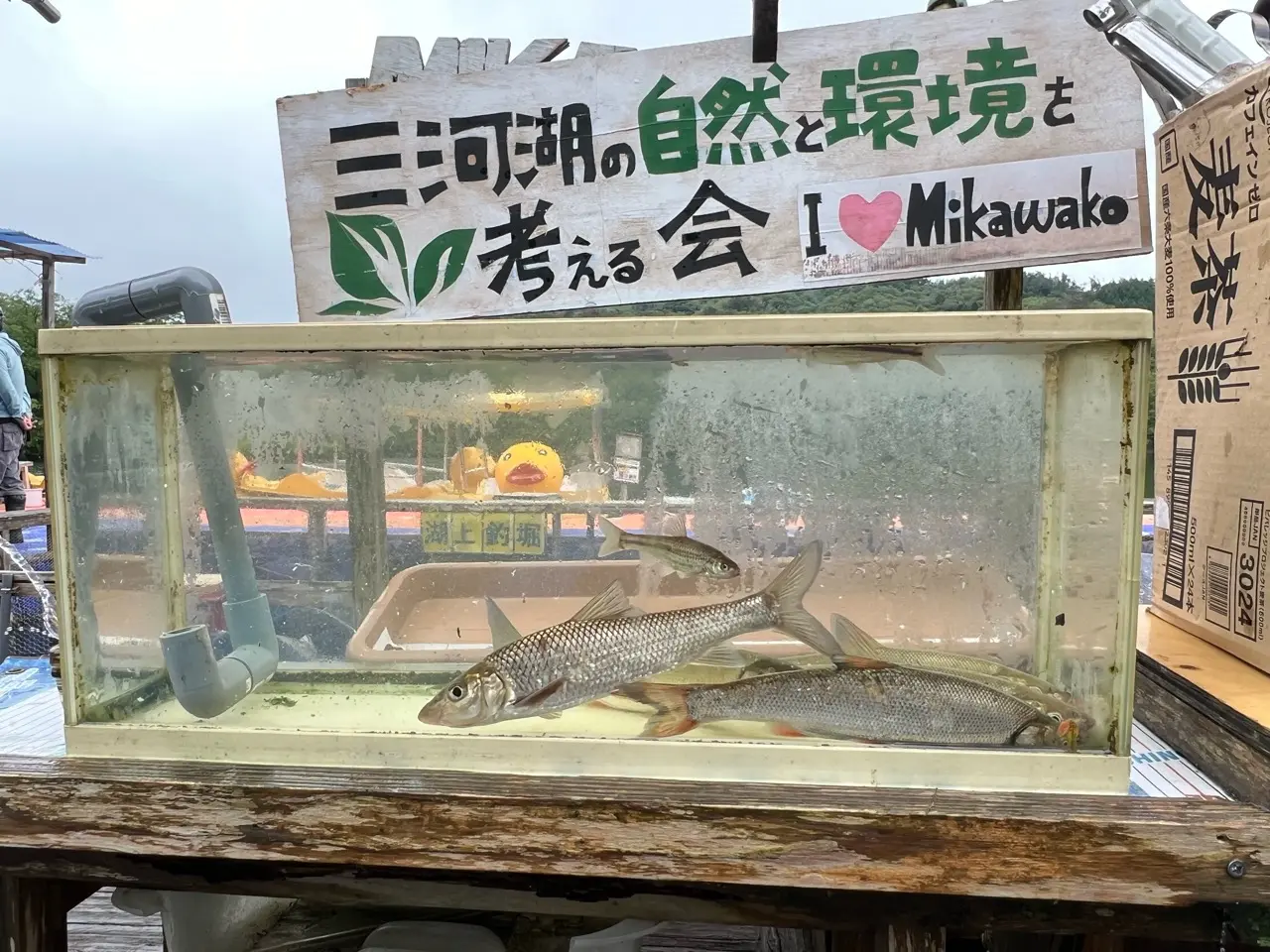 三河湖の自然と環境を考えるかい