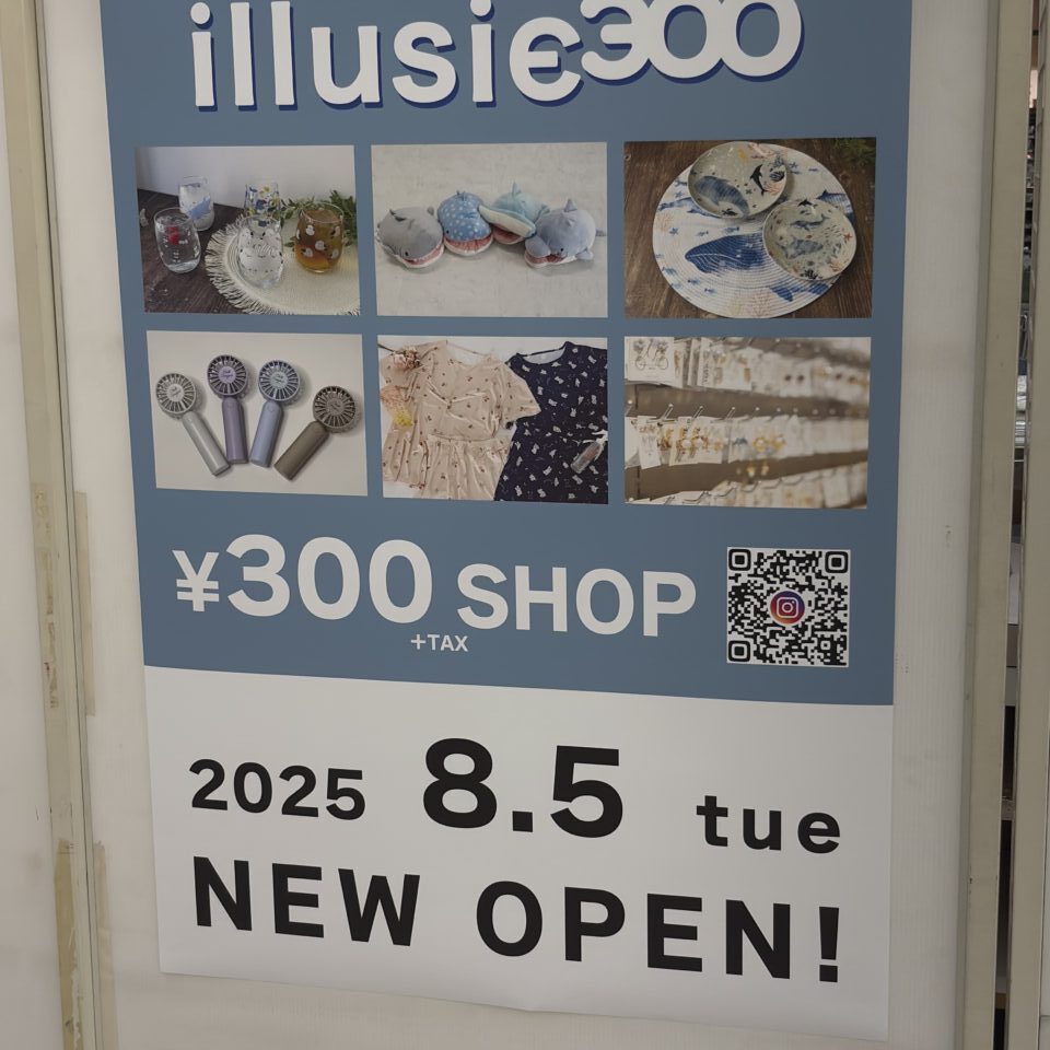 illusie300