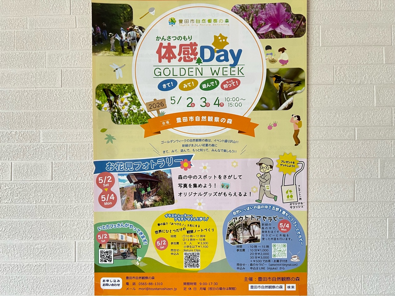 自然体感Day