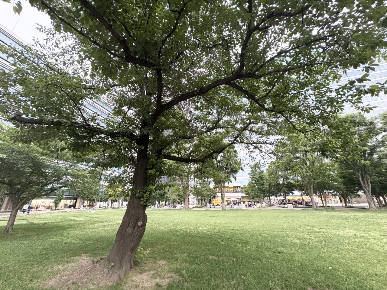 中野四季の森公園