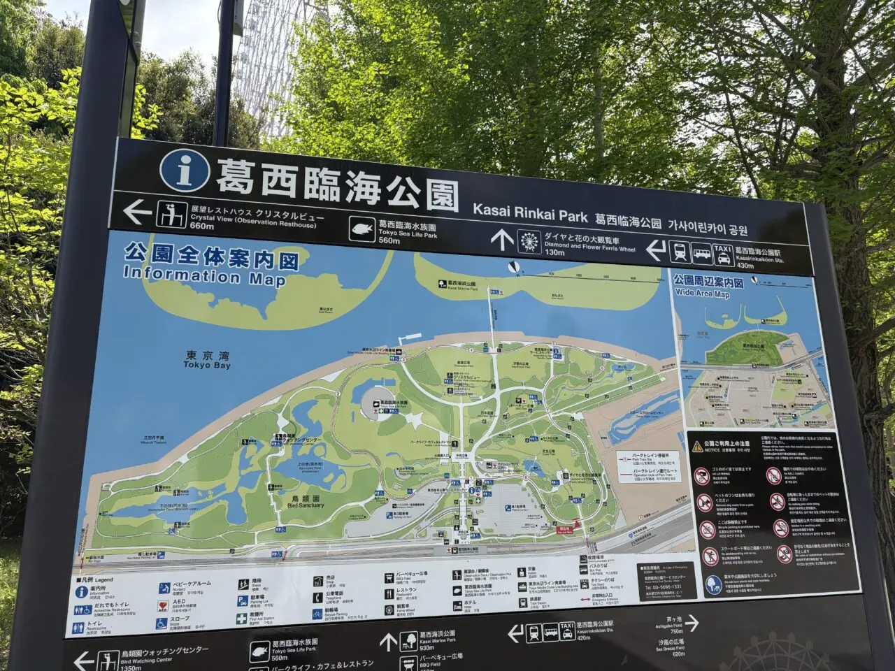 ゴールデンウィークに楽しむ葛西臨海公園