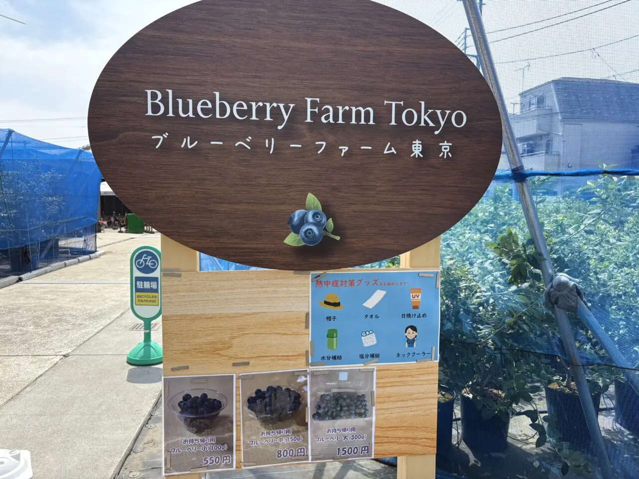 江戸川区内唯一のブルーベリー狩りができる農園ブルーベリーファーム東京