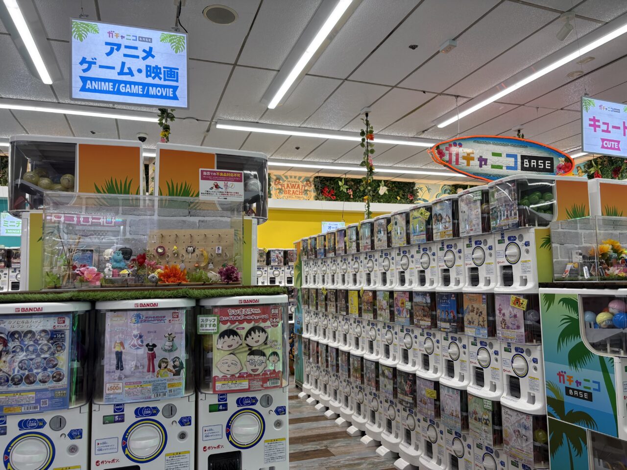 サニーモール西葛西内にあるゲームセンターキャッツアイの中に新しくオープンしたガチャガチャ専門店のガチャニコBASE