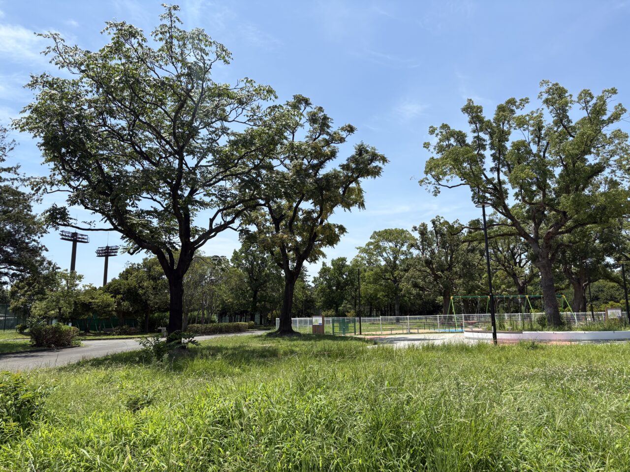 都立篠崎公園で第49回江戸川区民まつり開催