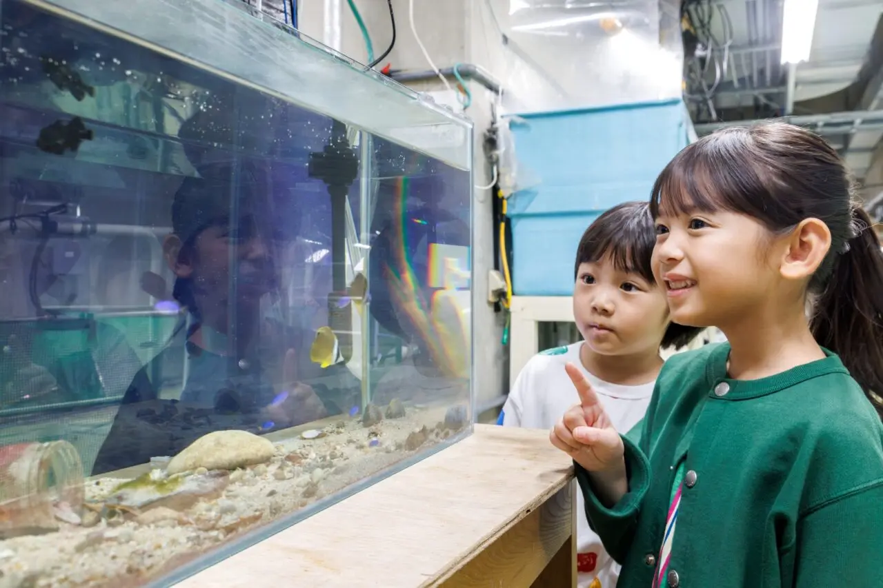 水槽をのぞく子ども
